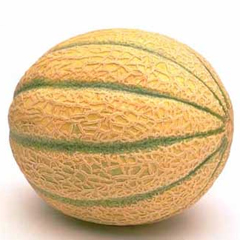 Melone giallo di Verona