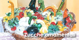 Zucche Ornamentali