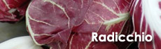 Radicchio